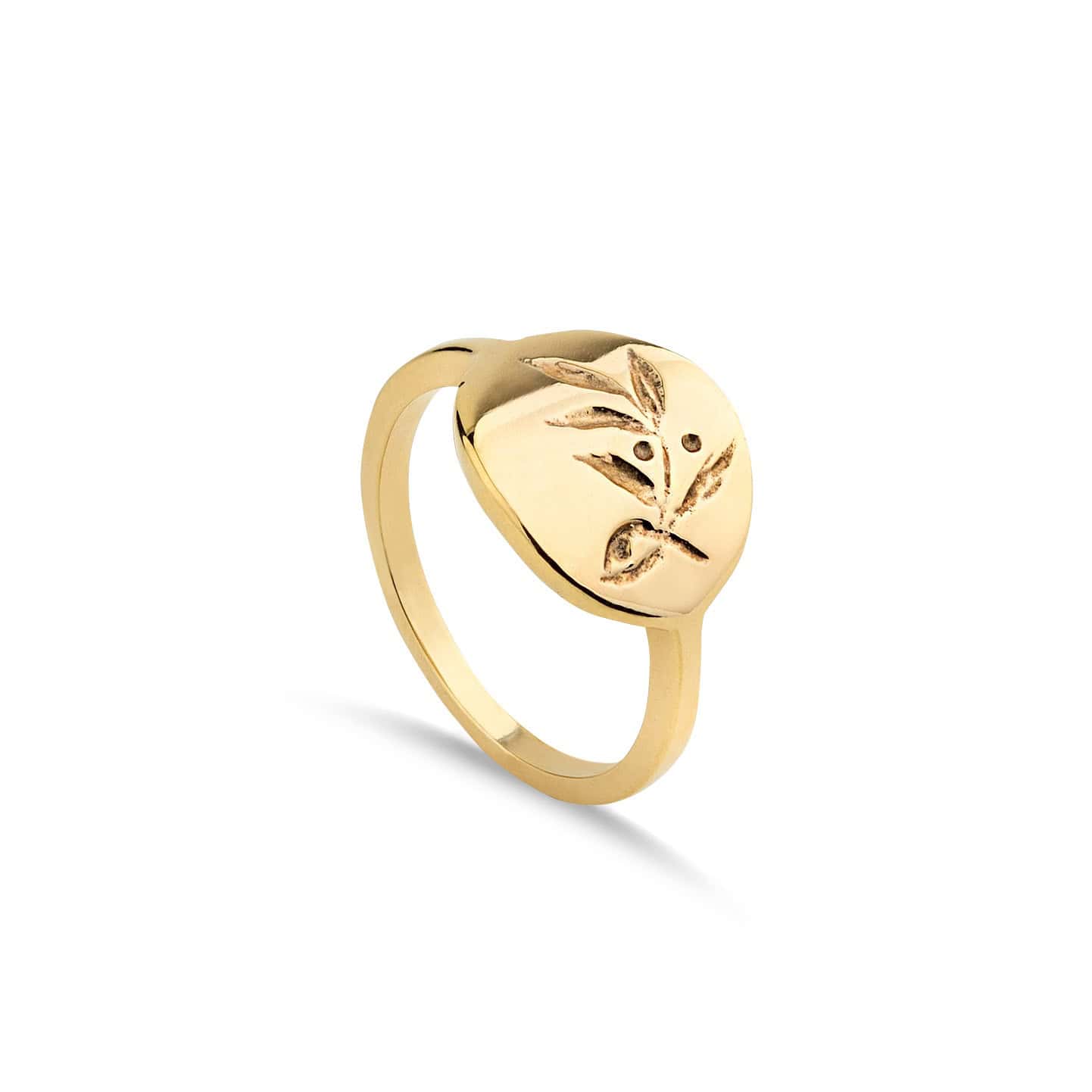 Olive branch 9kt engraved ring — Melina Fachidis