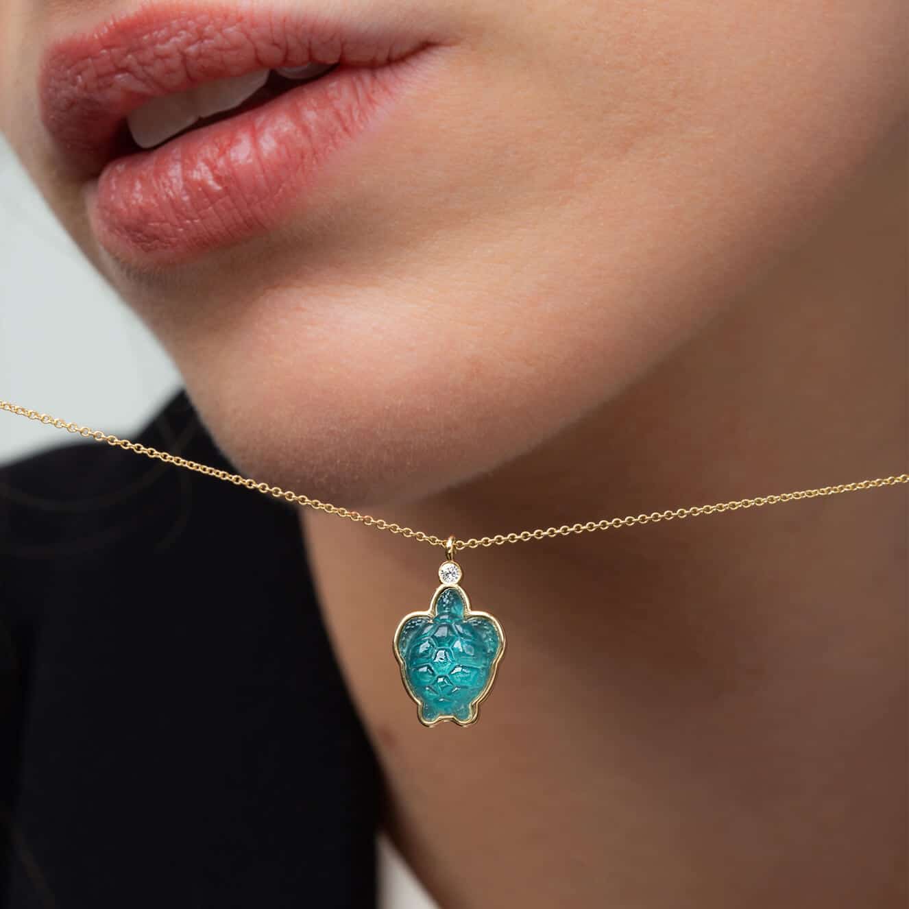 Aquamarine sea turtle — Melina Fachidis (3)