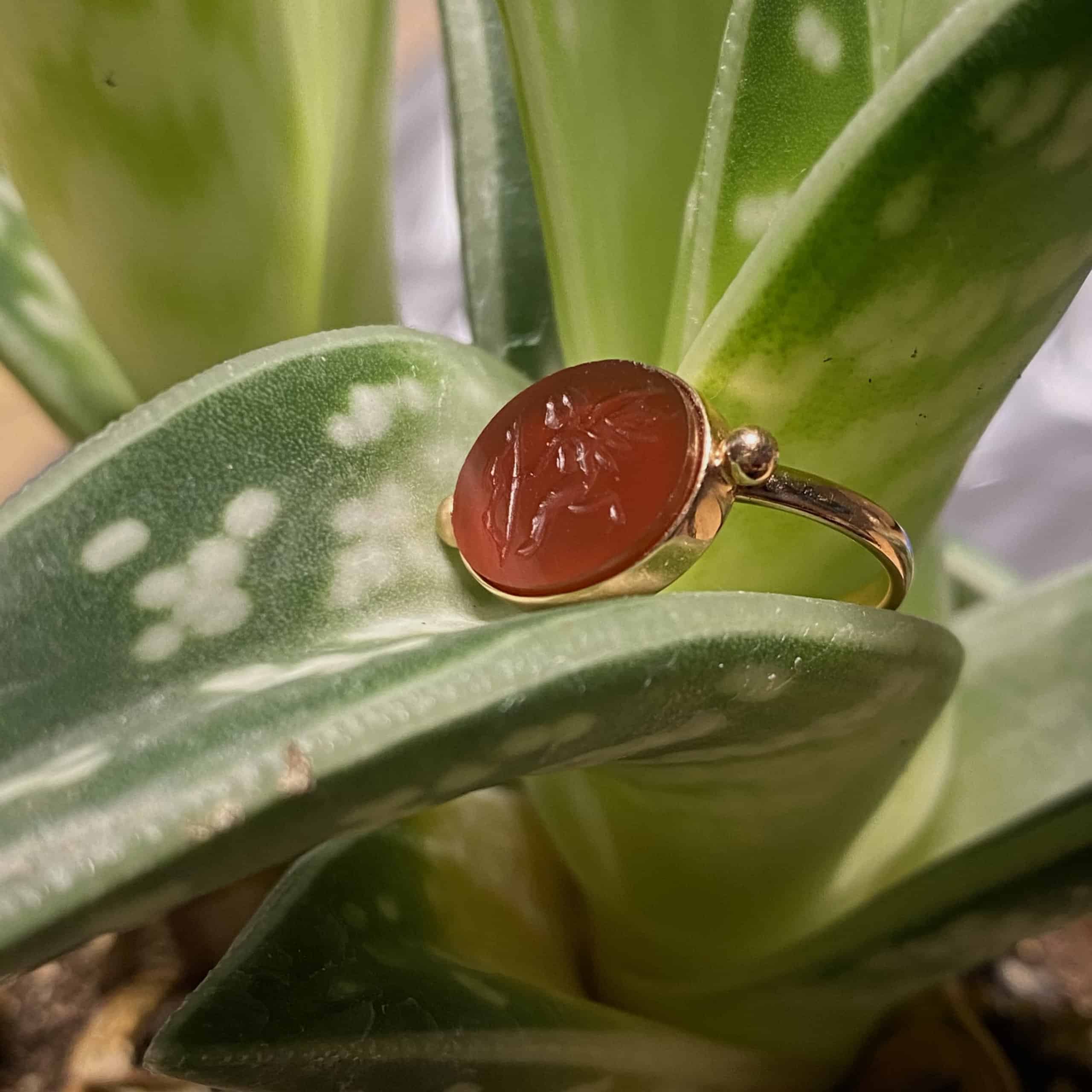 Golden signet ring with carnelian — Melina Fachidis (3)