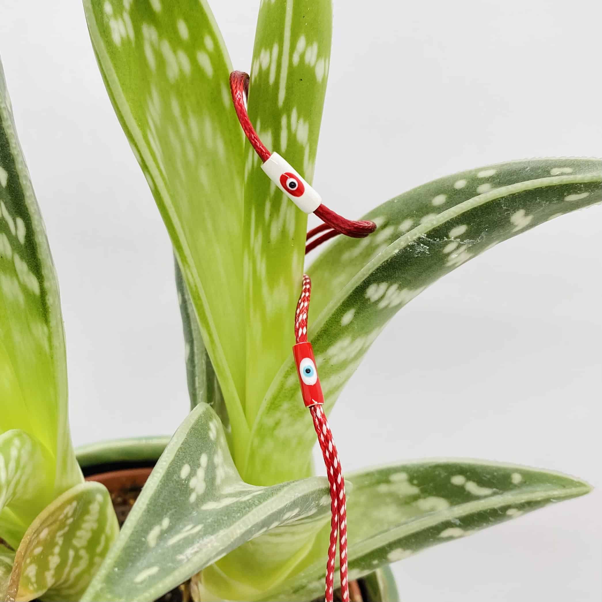 March silver eye bracelet — Melina Fachidis (5)