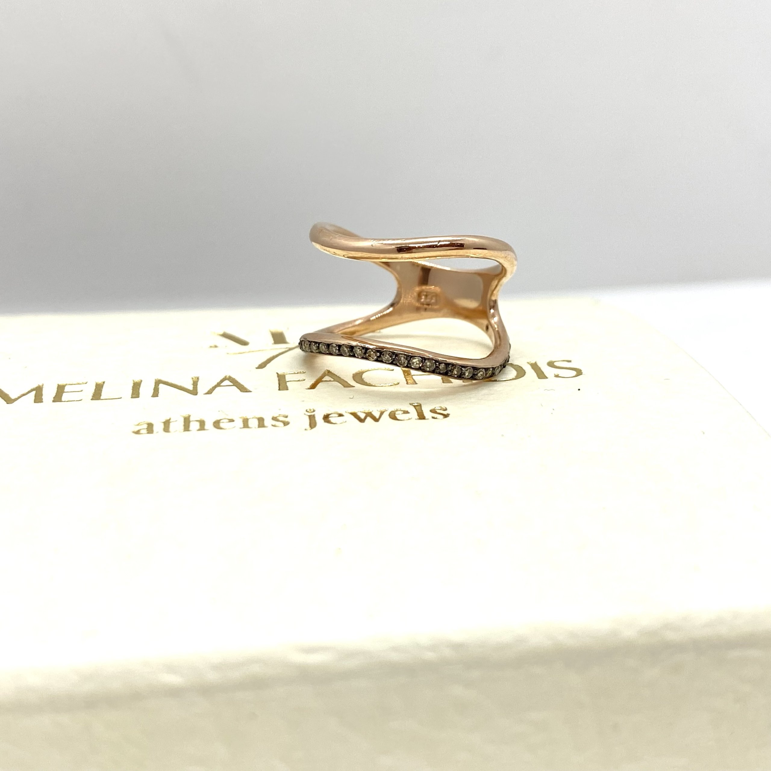 Double line diamond ring — Melina Fachidis (3)
